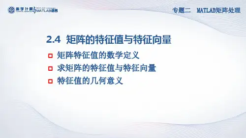 矩阵的特征值与特征向量(PPT)