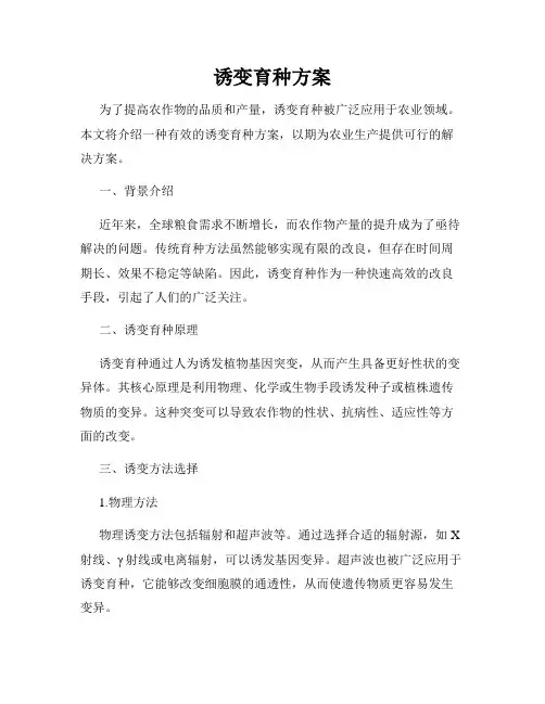 诱变育种方案