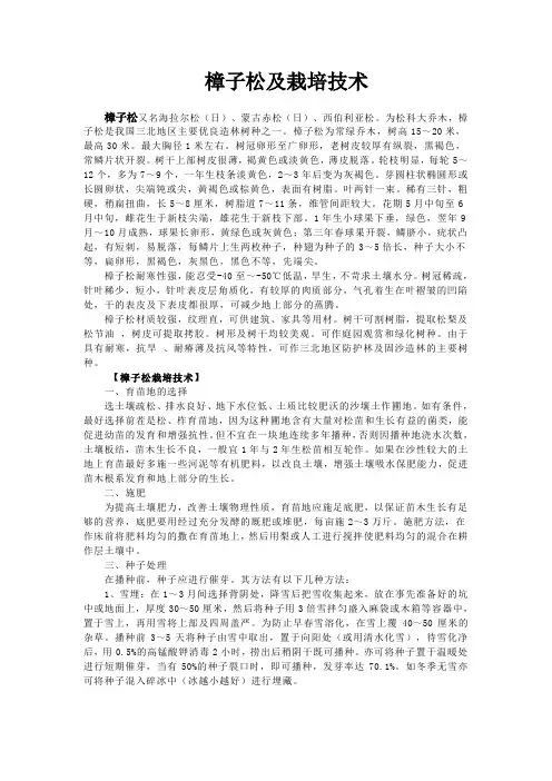 樟子松及栽培技术