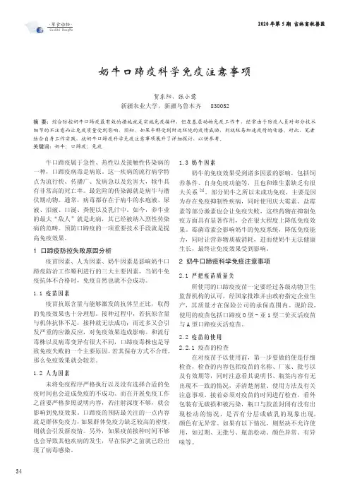 奶牛口蹄疫科学免疫注意事项