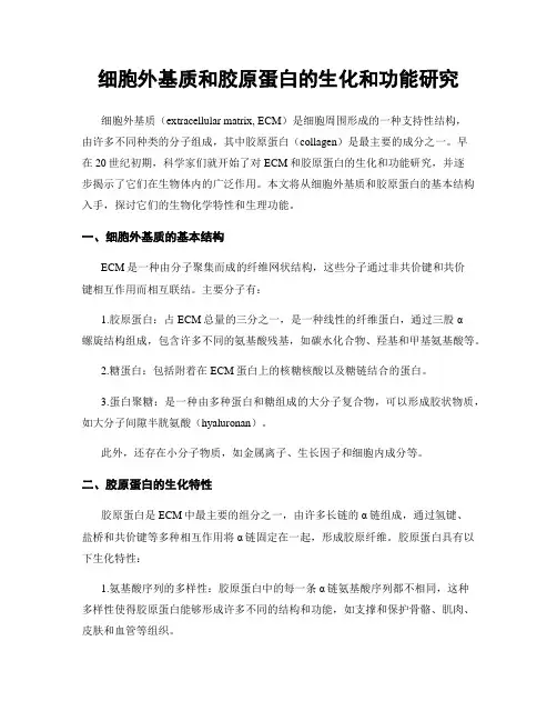 细胞外基质和胶原蛋白的生化和功能研究