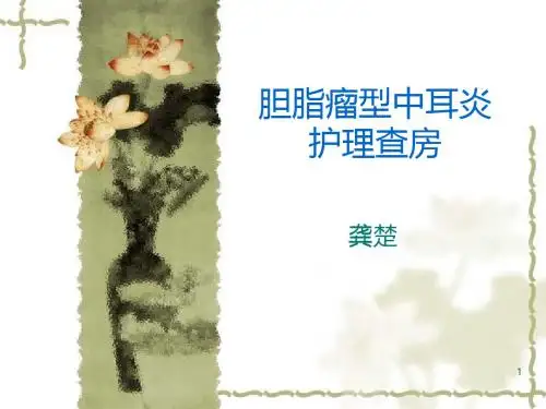 胆脂瘤中耳炎护理查房 PPT课件
