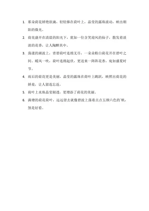 描写荷花的优美句子10