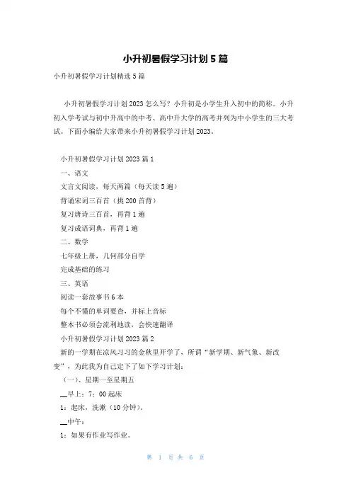 小升初暑假学习计划5篇