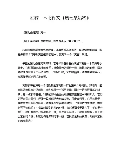 推荐一本书作文《第七条猎狗》