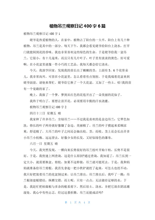 植物吊兰观察日记400字6篇