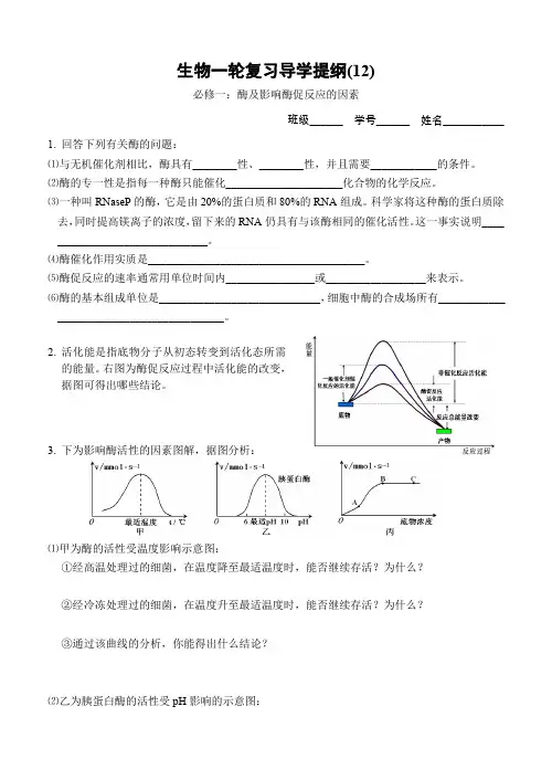 酶及影响酶促反应的因素