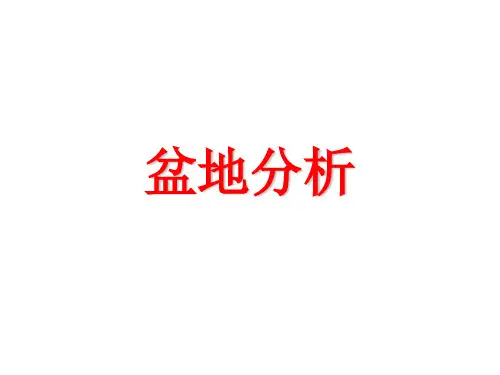 盆地分析