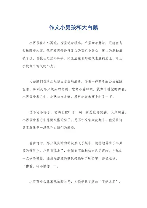 作文小男孩和大白鹅