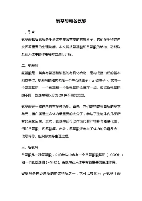 氨基酸和谷氨酸