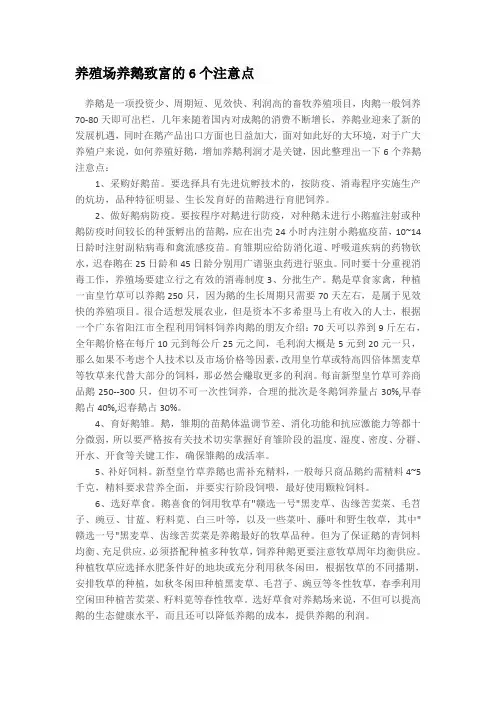 养殖场养鹅致富的6个注意点
