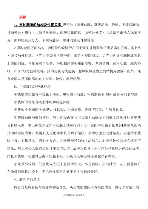 局部解剖学考试重点