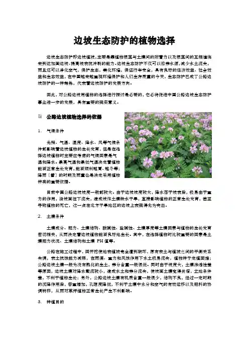 边坡修复过程中常见的植物选择