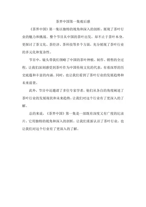 茶界中国第一集观后感300字