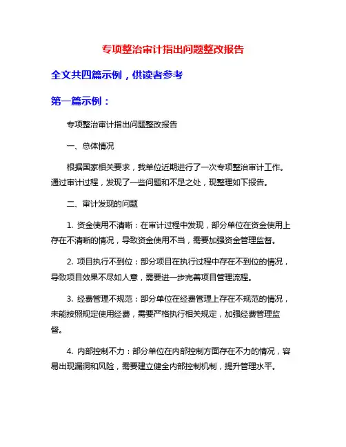 专项整治审计指出问题整改报告