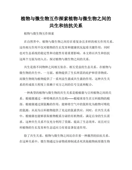 植物与微生物互作探索植物与微生物之间的共生和拮抗关系