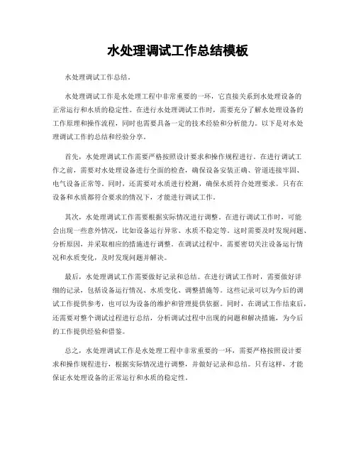 水处理调试工作总结模板