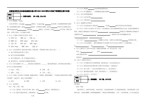 安徽省阜阳市太和县苗集镇长春小学2022-2023学年六年级下学期语文期中试卷