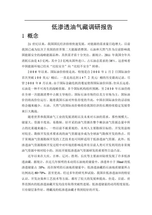 低渗透油藏调研报告..