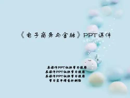 《电子商务与金融》PPT课件