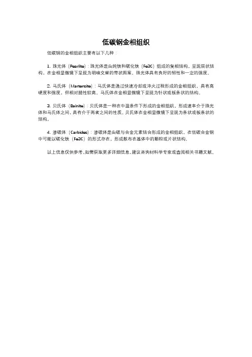 低碳钢金相组织