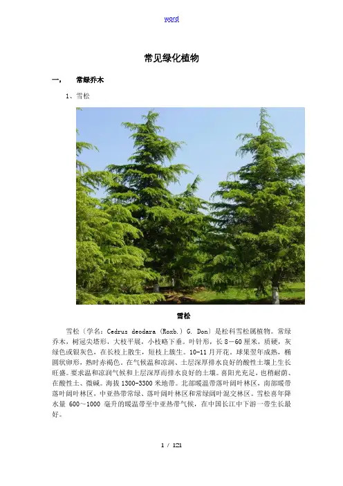 北方常见绿化植物简介(图文)