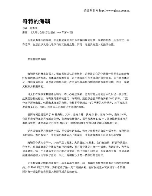奇特的海鞘