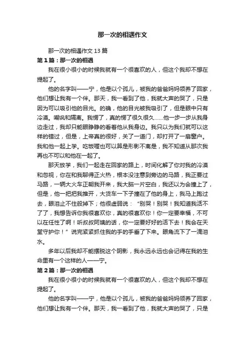 那一次的相遇作文