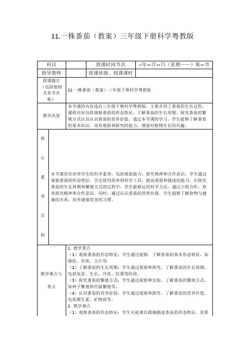 11.一株番茄(教案)三年级下册科学粤教版