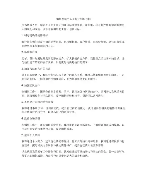 销售明年个人工作计划和目标