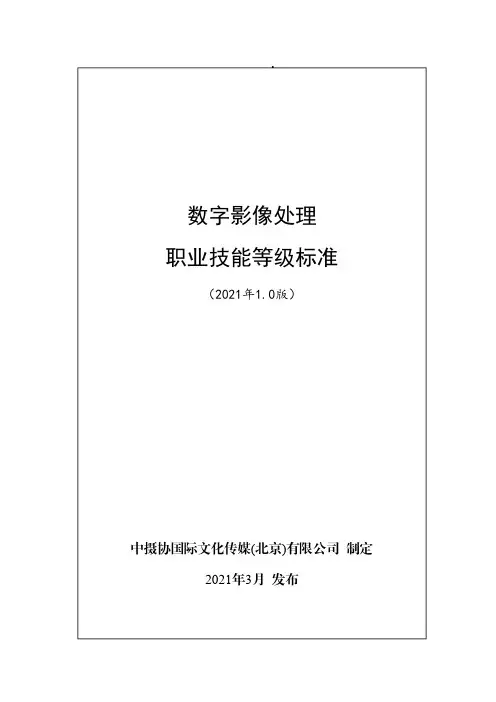 数字影像处理职业技能等级标准(2021年版)