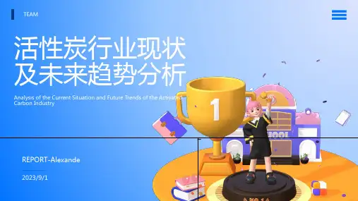 2023年活性炭行业发展现在及未来趋势分析方案模板