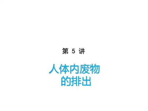 2020中考生物一轮复习(课件)第5讲  人体内废物的排出