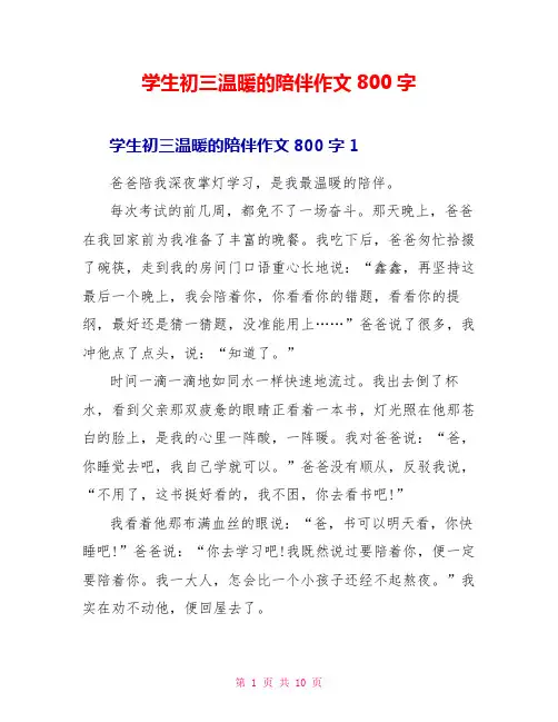 学生初三温暖的陪伴作文800字