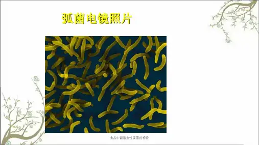 食品中副溶血性弧菌的检验