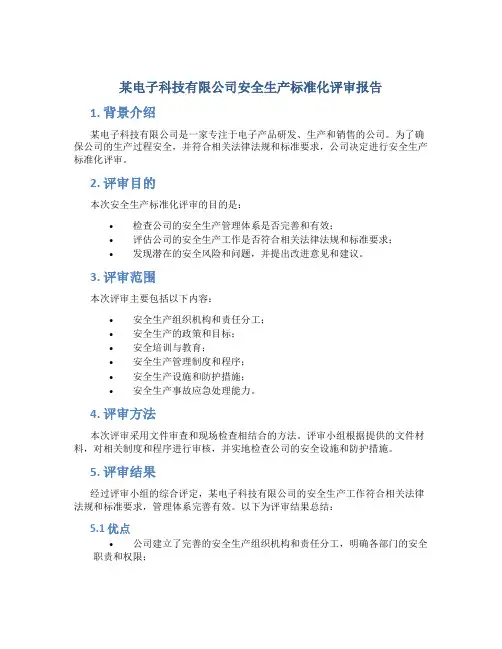 某电子科技有限公司安全生产标准化评审报告