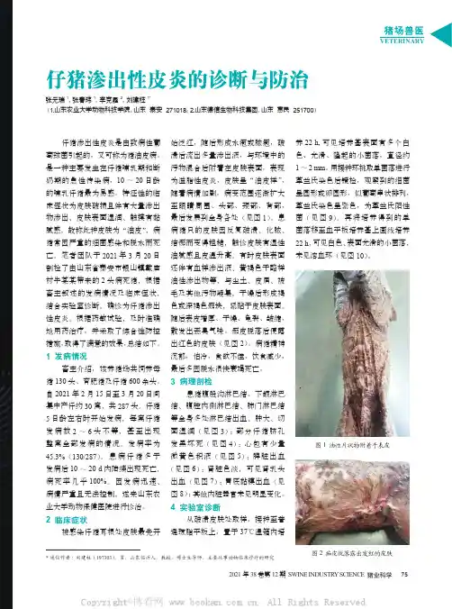 仔猪渗出性皮炎的诊断与防治