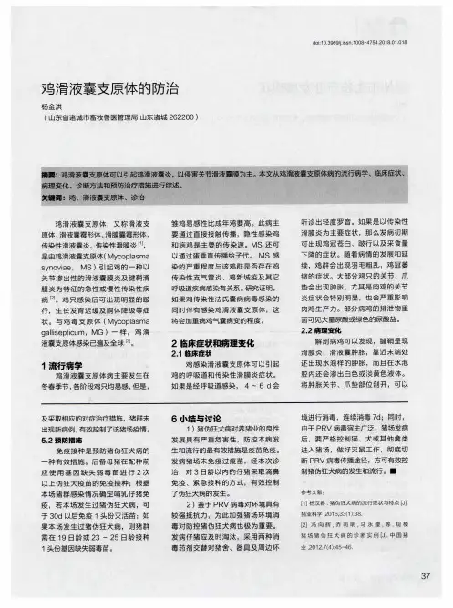 鸡滑液囊支原体的防治