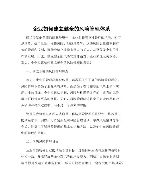 企业如何建立健全的风险管理体系