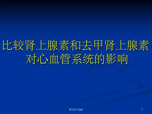 比较肾上腺素和去甲肾上腺素对心脏和血管的影响1A