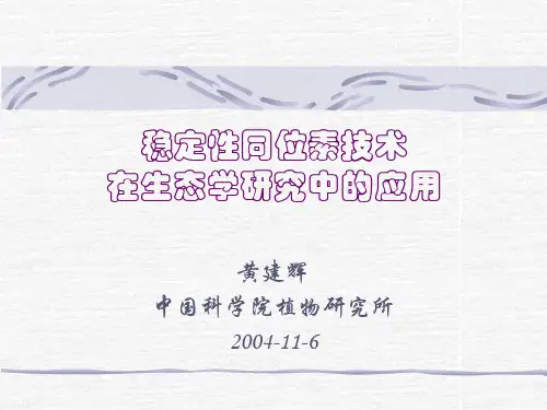 稳定性同位素技术