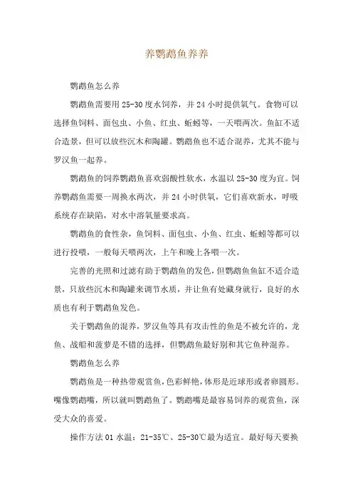 养鹦鹉鱼养养