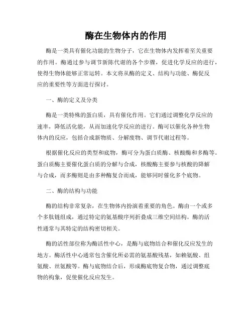 酶在生物体内的作用
