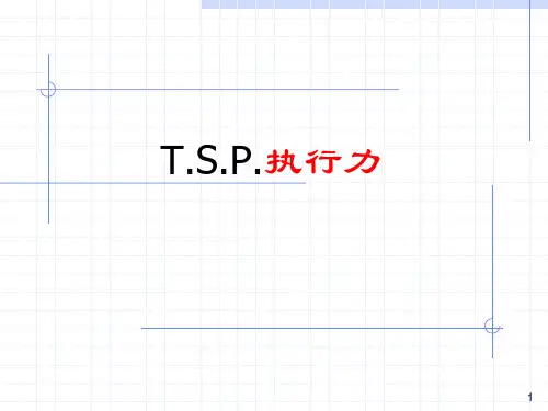 T.S.P.执行力课程ppt课件
