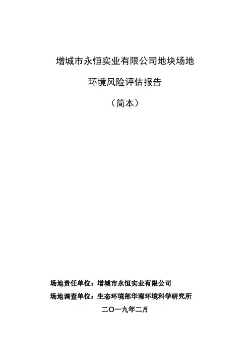 增城市永恒实业有限公司地块场地