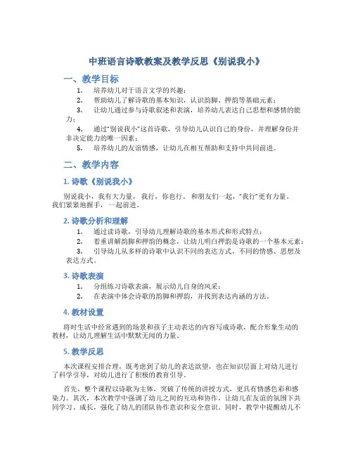 中班语言诗歌教案及教学反思《别说我小》