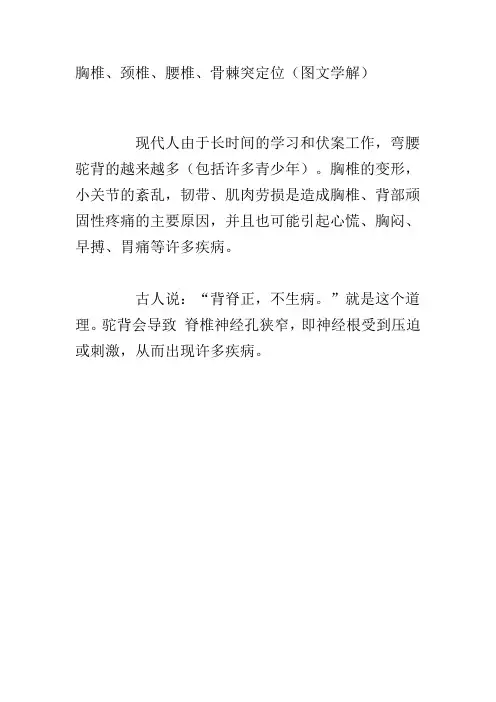 胸椎、颈椎、腰椎、骨棘突定位(图文学解)