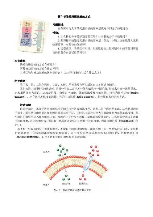高中生物必修1《分子与细胞》 物质跨膜运输的方式