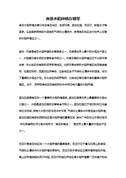 南亚水稻种植在哪里