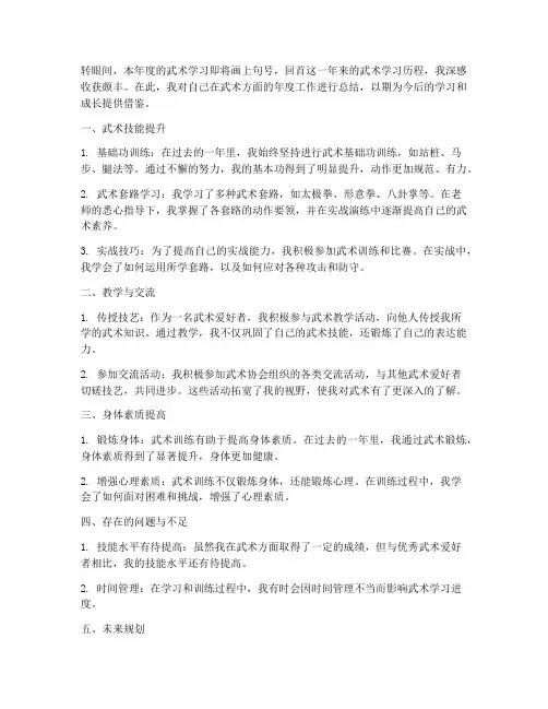 武术年度个人工作总结